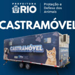 Castração Gratuita para Cães e Gatos em Seu Bairro