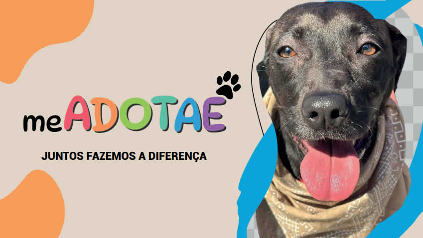 Campanha MeAdotaê - set/25