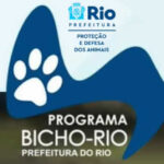 Atendimento Veterinário Gratuito no Rio de Janeiro
