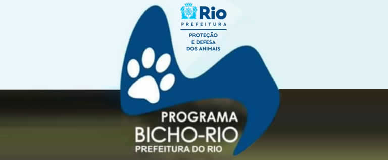 Atendimento Veterinário Gratuito no Rio de Janeiro