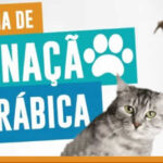 Vacinação Antirrábica – RJ set/2025