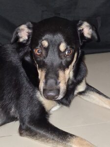 Athena