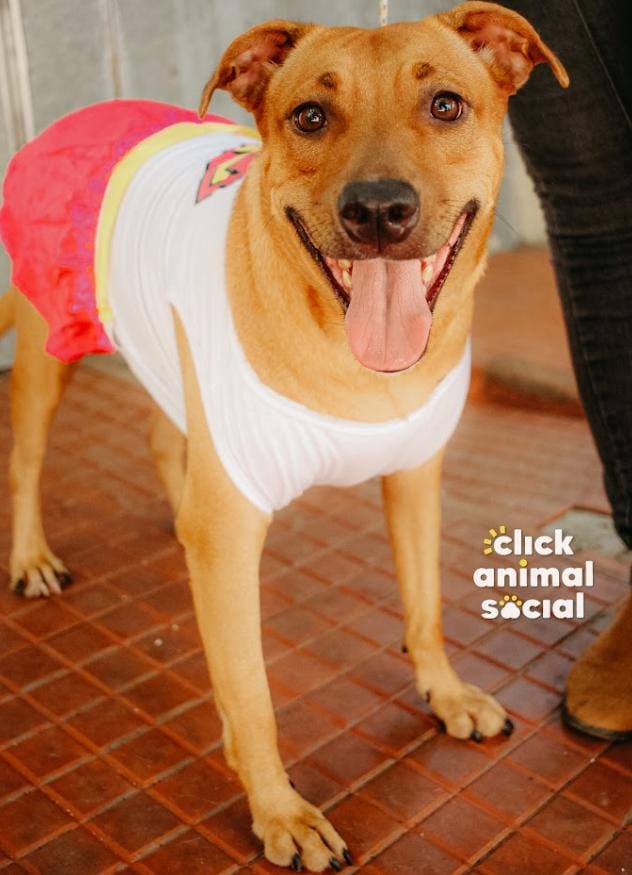 Dora