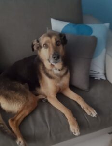 Mel